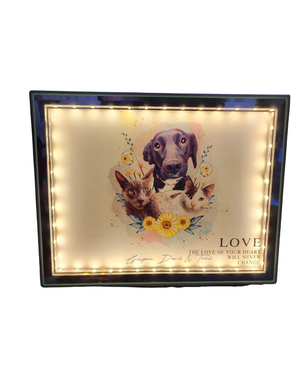 Cuadro LED personalizado