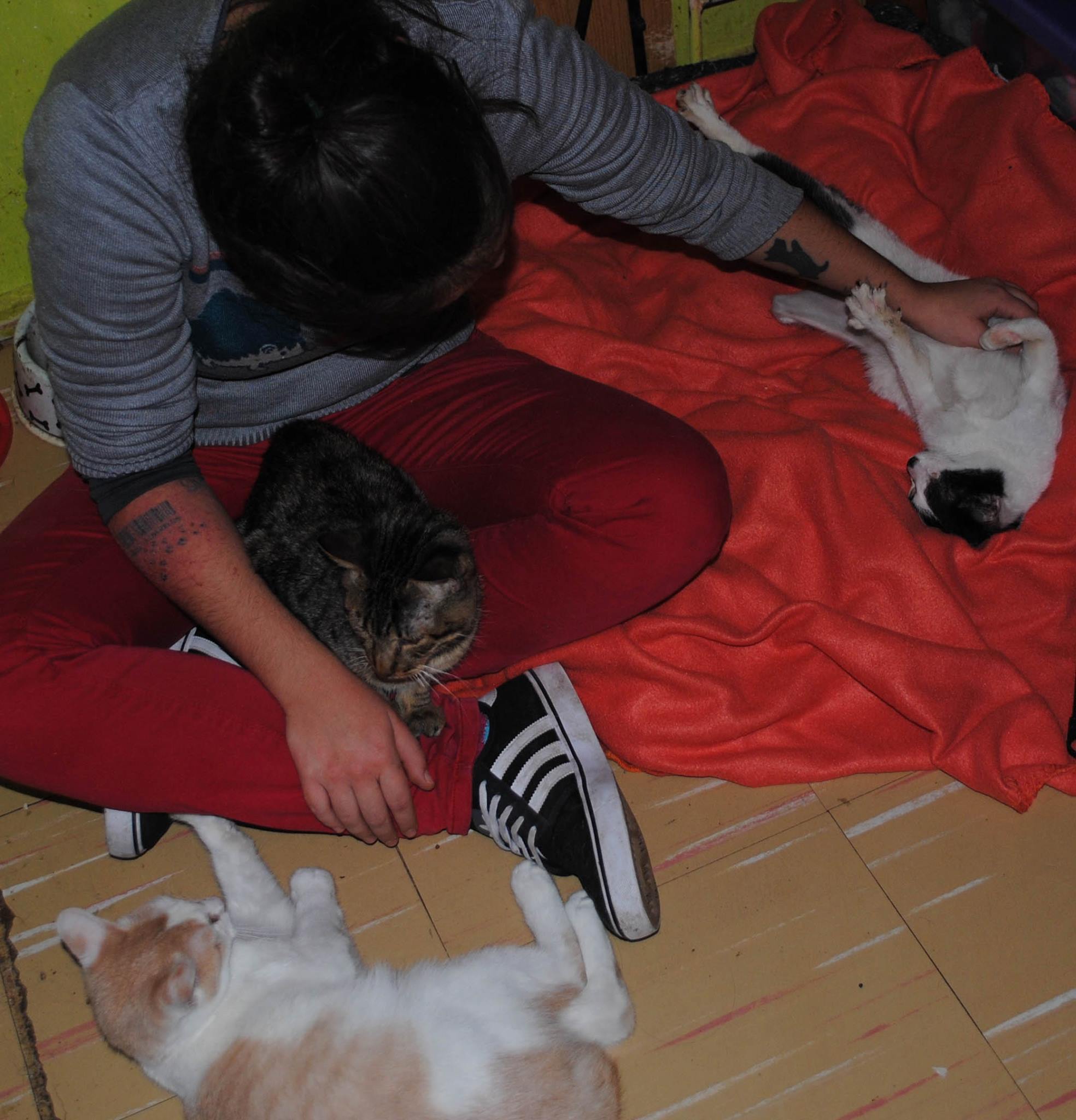 Rescate animal 1