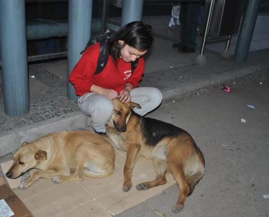 Rescate animal 4