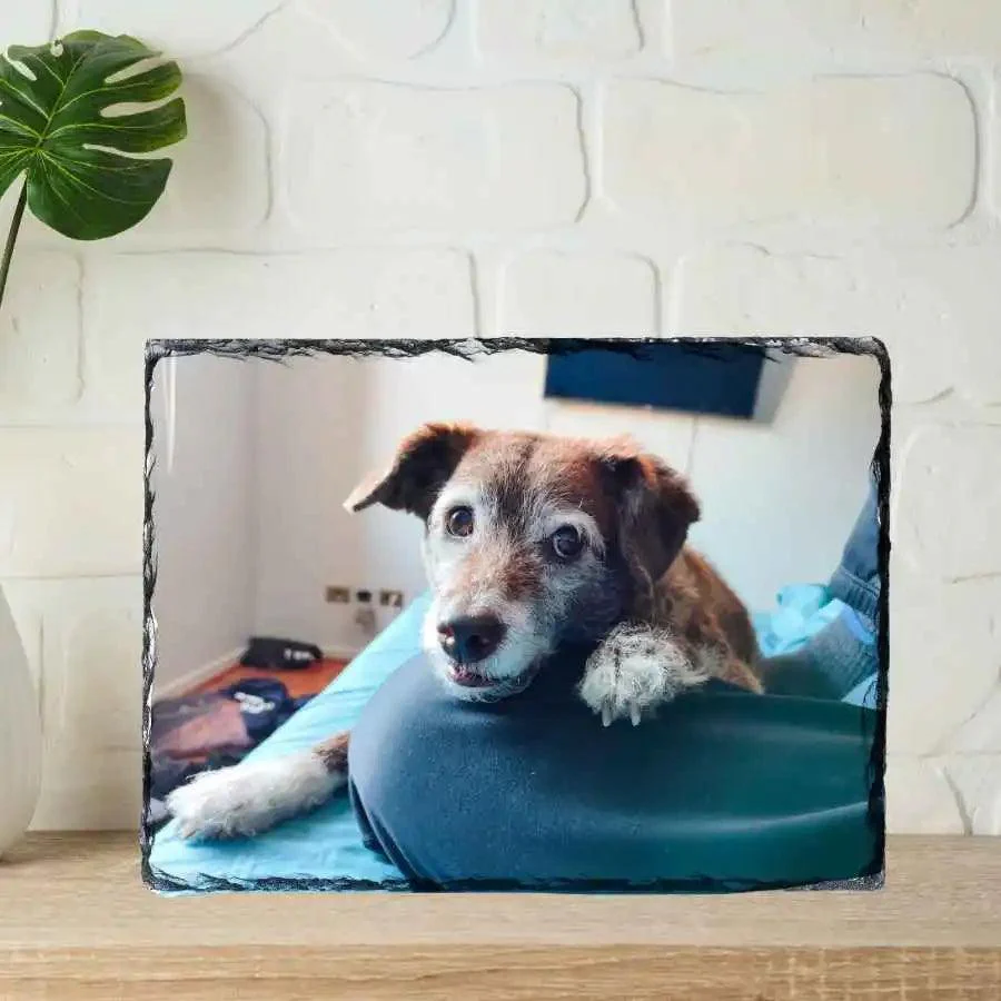 Roca fotográfica personalizada